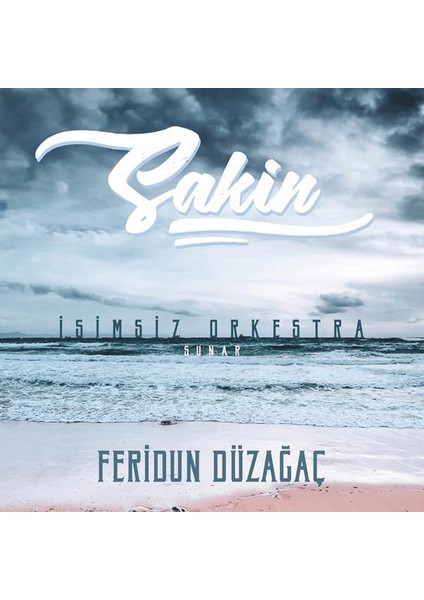 Feridun Düzağaç-Sakin (Plak)