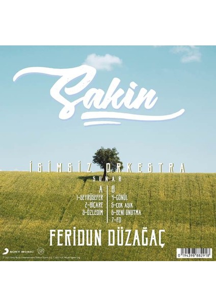 Feridun Düzağaç-Sakin (Plak)