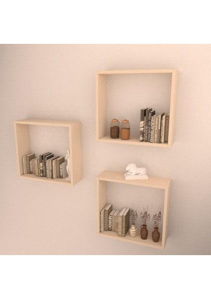 3'lü Box Raf Set Krem