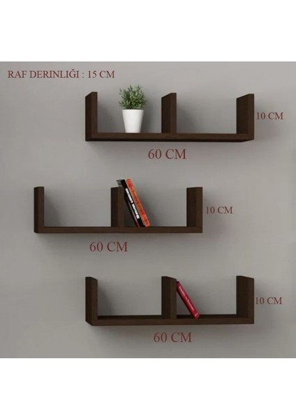 3'lü Atalanta Duvar Raf Seti Akçaağaç fiyatları