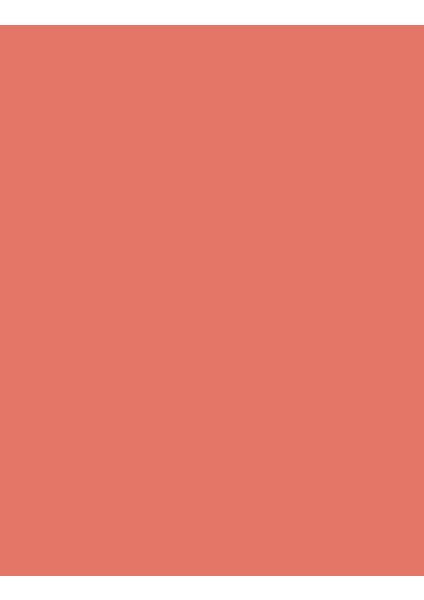 - Allık - Blush-On Y105 MATTE ROSE 8682536011396 31000006-Y105 fiyatları