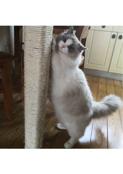Kedi Tırmalama Ipi 4 Mm X 50 Metre
