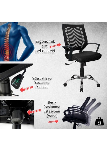 Yumi Krom Çalışma Koltuğu Bilgisayar Koltuğu Fileli Koltuk Çalışma Sandalyes Ofis Koltuğu Büro Koltu