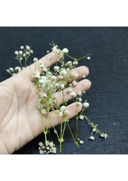 Kurutulmuş Çiçek - Mini Demet