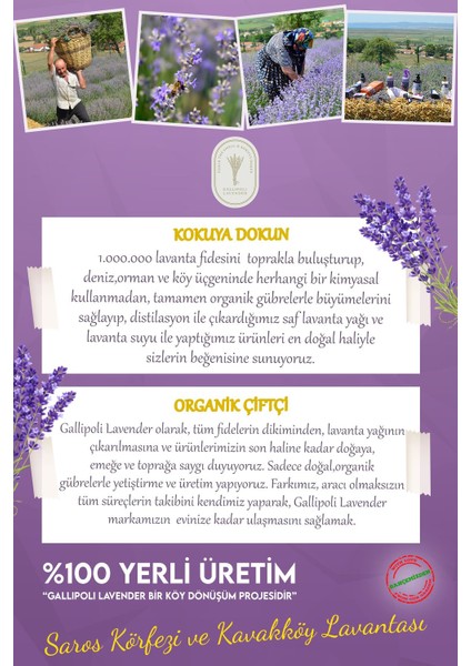 Dr. Lavender Konsantre Saf Lavanta Yağı 10 ml + Çubuklu Lavanta Oda Kokusu 100 ml