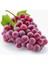 Tüplü Crimson Seedless Pembe Üzüm ( 2 Yaşında- Boy 50 - 70CM ) Asma Üzüm Fidanı 1