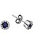 Safir ve Pırlanta Taşlı Küpe 0405E0003 1