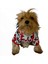 Mickey Red Ince Köpek Ceketi Köpek Kıyafeti Köpek Elbisesi Köpek Modası 2