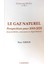 Le Gaz Naturel-Perspectives Pour 2010-2020 1