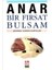 Bir Fırsat Bulsam 1