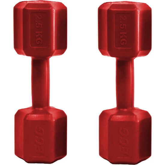 Ecgspor 2.5 kg Dambıl Seti 2.5 kg x 2 Toplam 5 kg Ağırlık Seti Kırmızı