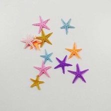 Hobizubi Renkli Deniz Yıldızı Paketi