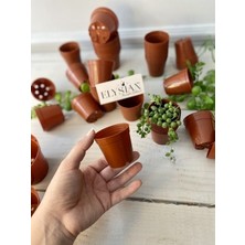 Elysian Üretim Saksı 100 Adet Küçük Kaktüs Sukulent Üretim Saksısı 5,5x5 cm Kahverengi Renkli Plastik Saksı