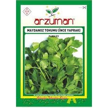 Arzuman Tohum Maydanoz (Ince Yaprak) 2 Adet