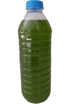 Canlı Petshop Yeşil Su - Fitoplankton Kültürü (Su Piresi Yemi) - 350 ml