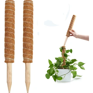 Koko Sarmaşık Bitki Destek Çubuğu 2 Adet 40CM