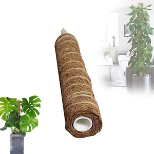 Koko Sarmaşık Bitki Destek Çubuğu 120CM