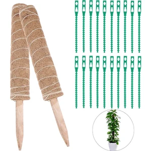 Koko Sarmaşık Destek Çubuğu 2 Adet 40 Cm+50 'li Bağlama Klipsi