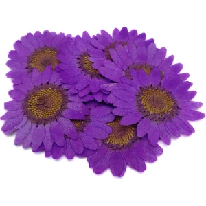Kurutulmuş Papatya - Mor