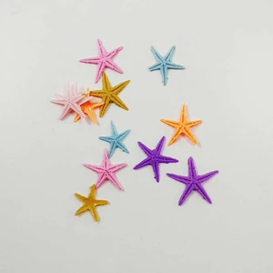 Renkli Deniz Yıldızı Paketi