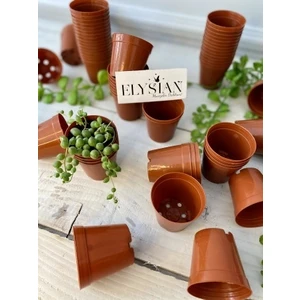 Üretim Saksı 100 Adet Küçük Kaktüs Sukulent Üretim Saksısı 5,5x5 cm Kahverengi Renkli Plastik Saksı