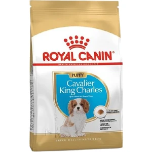 Royal Canin Cavalier King Charles Puppy 1,5 kg Yavru Köpek Maması