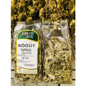 Lokman Aktar Söğut Yaprağı 40 gr