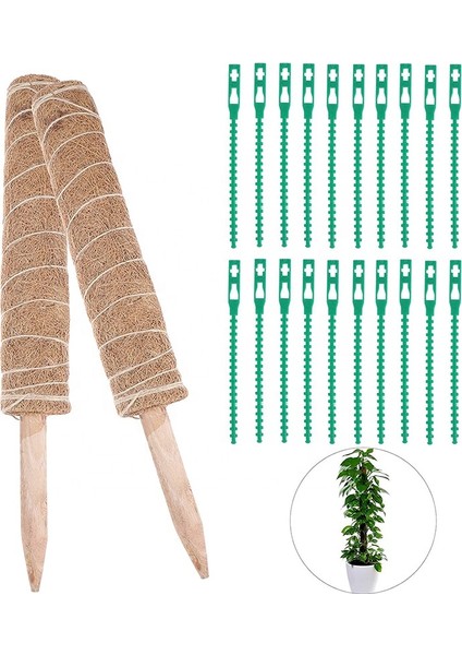 Koko Sarmaşık Destek Çubuğu 2 Adet 40 Cm+50 'li Bağlama Klipsi