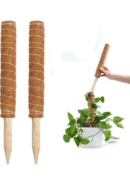 Koko Sarmaşık Destek Çubuğu 2 Adet 40 Cm+30 mt Bağlama Ipi