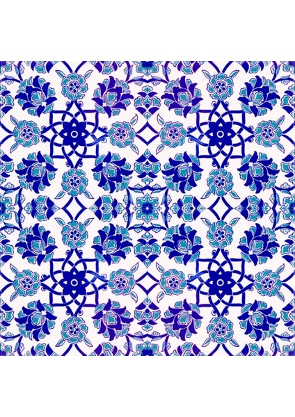 AC03 20 x 20 Dekoratif Çini