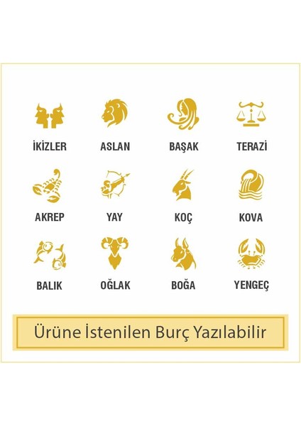 14 Ayar Sade Altın Plaka Kolye