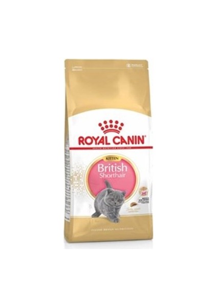 Feline Kitten British Shorthair Yavru Kedi Maması 2 kg