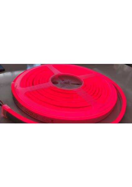 CT-4555 12V Pembe Neon Led Flexible 5 Metre