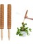 Koko Sarmaşık Destek Çubuğu 2 Adet 40 Cm+30 mt Bağlama Ipi 2
