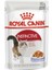 Instinctive Jelly Yetişkin Konserve Kedi Maması 85 gr 1