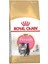 Royal Canin Feline Kitten Persian Kuru Kedi Maması 2 kg 1