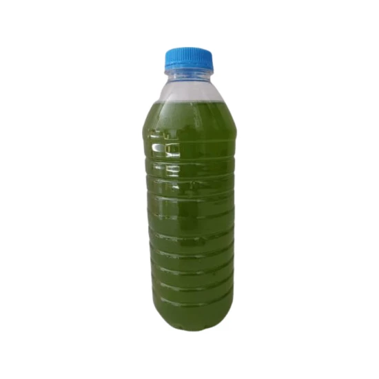 Canlı Petshop Yeşil Su - Fitoplankton Kültürü (Su Piresi Yemi) - 350 ml