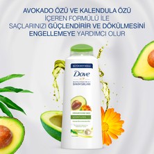 Dove Dökülmeye Karşı Saç Bakım Şampuanı Avokado Özü ve Kalendula Özü 600 ML 1 Adet