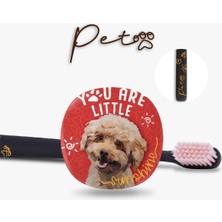 Flipper Pets Hijyenik Saklama Kabı ve Yetişkin Diş Fırçası Seti-Poodle Köpek