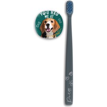 Flipper Pets Hijyenik Saklama Kabı ve Yetişkin Diş Fırçası Seti-Beagle Köpek
