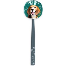 Flipper Pets Hijyenik Saklama Kabı ve Yetişkin Diş Fırçası Seti-Beagle Köpek