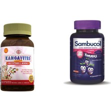 Sambucol Plus Kids Yummies 60 Çiğneme Tablet + Solgar Kangavites Multivitamin Mineral 60 Çiğneme Tablet