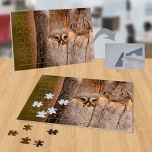 Asilmeydan Ağaç Kavuğunda Baykuş,doğa, Hayvan 99 Parça Puzzle YAPBOZ-P129