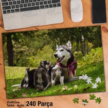 Asilmeydan Asil Hobi Husky ve Yavruları -Orman -Köpek -Doğa Yapboz -Ayak Destekli Çerçeveli 240 Parça Puzzle