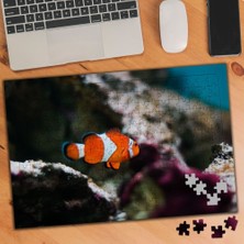 Asilmeydan Yalnız Balık-Turuncu Nemo  240 Parça Puzzle YAPBOZ-384933