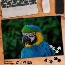 Asilmeydan Asil Hobi Papağan- Amazon - Hayvan - Kuş Yapboz - Ayak Destekli Çerçeveli 240 Parça Puzzle