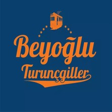 Beyoğlu Turunçgil Aromalı 12X250 ml