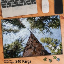 Asilmeydan Asil Hobi Ağaç Gövdesi - Ağaç Yaprakları - Doğa Yapboz - Ayak Destekli Çerçeveli 240 Parça Puzzle