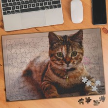 Asilmeydan Evin Küçük Yaramazı-Mır 240 Parça Puzzle YAPBOZ-1245673