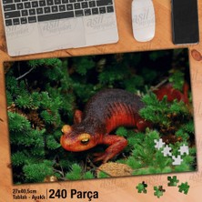 Asilmeydan Asil Hobi Amazon - Kertenkele - Vahşi Yaşam Doğa Yapboz - Ayak Destekli Çerçeveli 240 Parça Puzzle